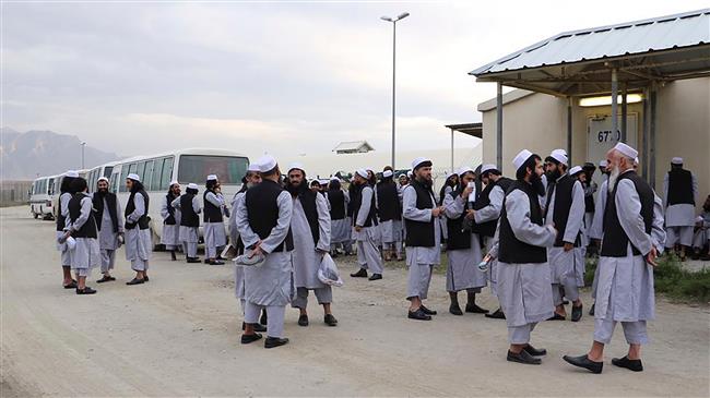 Pejabat Afghanistan: Tahanan Taliban Yang Dibebaskan Pemerintah Kembali Lagi Ke Medan Perang
